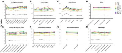 Selection and Validation of Reference Genes for Quantitative Real-Time PCR Normalization in Athetis dissimilis (Lepidoptera: Noctuidae) Under Different Conditions